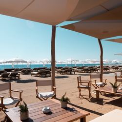 Les Palmiers Photo 2