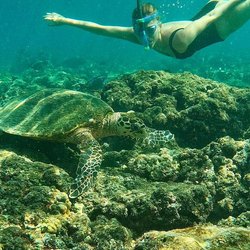 Daymaniyat Islands Photo 4