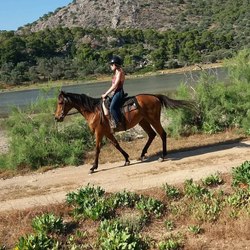 Aponisos Horseback Riding Photo 2