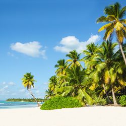 Sandy Island Photo 4