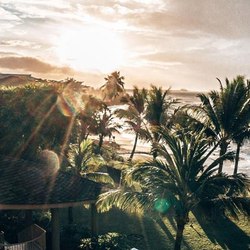 Le Tahiti by Pearl Resorts Photo 2