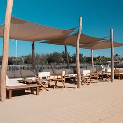 Les Palmiers Photo 7