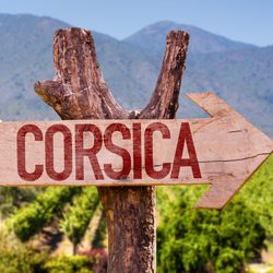 Corsican Vineyards Photo 6