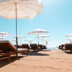 Les Palmiers Photo 21