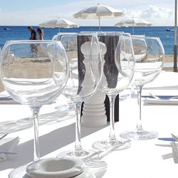 Les Palmiers Photo 16