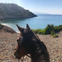 Aponisos Horseback Riding  Photo 4