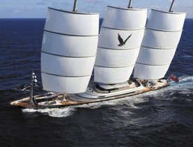 Reduced Summer Rates on Maltese Falcon