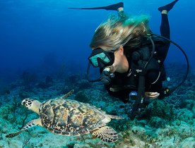 5 of the Best Dive Sites in Komodo National Park to Visit on a Luxury Yacht Charter