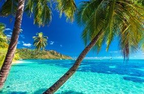 Find your perfect island on a Tahiti yacht charter