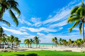 4 Of The Best Spots In The Jardines del Rey