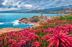 5 reasons to visit Corsica on a luxury yacht charter