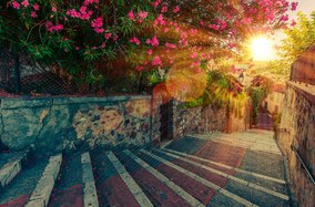 Beyond the red carpet: things to do in Cannes