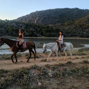 Greece Saronic Islands - Aponisos Horseback Riding