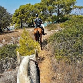 Greece Saronic Islands - Aponisos Horseback Riding