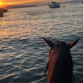 Greece Saronic Islands - Aponisos Horseback Riding water