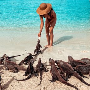 Woman feeding iguanas on the beach 