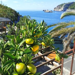 Croatia - Lonely Paradise restaurant