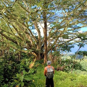Tahiti - Mount Aorai hiking