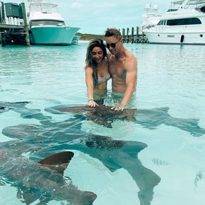 Exumas - Nurse sharks of Compass Cay swimming