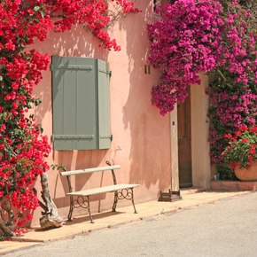 Close up view of a pink building in France with flowers adorning the walls