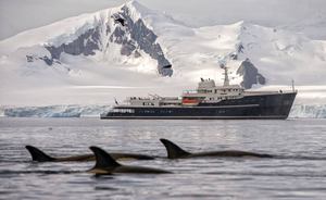 Antarctica charter special: save 10% on board expedition yacht LEGEND