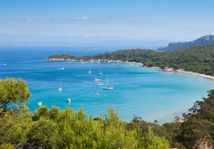 Porquerolles: The most enchanting island in the South of France
