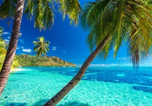 Find your perfect island on a Tahiti yacht charter