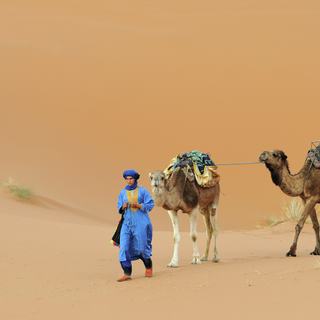 North Africa photo 5