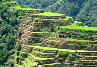 intricate rice terraces of Banaue in the north of the Phillippines