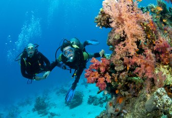 Two charter guests diving with corals in Thailand