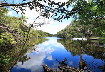 Beautiful Long Lake, a fresh water lake in Hugh Taylor Birch State Park located steps away from the Atlantic Ocean on A1A, in Fort Lauderdale, Florida, USA.