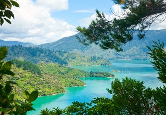 scenic waterways of New Zealand with verdant rolling hills