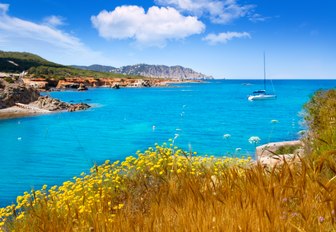 Snapshot of Ibizan coastline