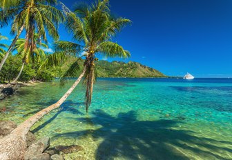 Moorea beach in Tahiti