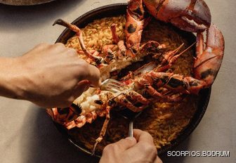 A dish with a lobster on top