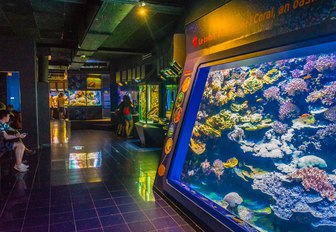 aquarium at oceanographic museum of monaco