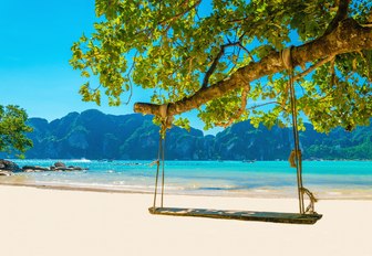 Swing hanging from tree above white sand beach in the Phi Phi islands