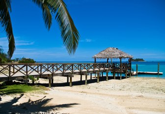 Tropical island with palm trees and jetty, Fiji