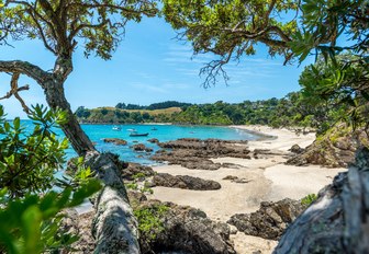 Palm Beach view, Waiheke Island, New Zeland, on a beautiful sunny day 