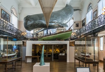 main hall of oceanographic museum with whale sculpture hanging from ceiling