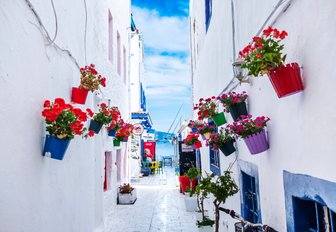 Colorful flowerpots hang outside whitewashed houses in a narrow alleyway in Turkey