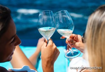 Female charter guests clicking wine glasses 