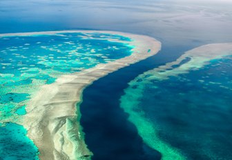 great barrier reef from above, corals and sea life from above