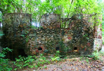 Old stone structure overtaken by lush tropical vegetation on Tortola British Virgin Islands