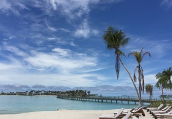 marina in maldives with a beach palm tree and long jetty