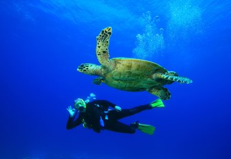 underwater life available to charter guests