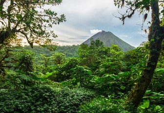 Costa Rica vegetation and abundant trees