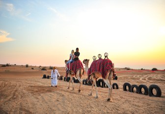 camel ride in the desert nearby Dubai as the sun goes down 