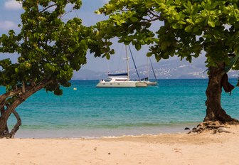 catamaran anchored in Martinique waters as seen from a sandy beach