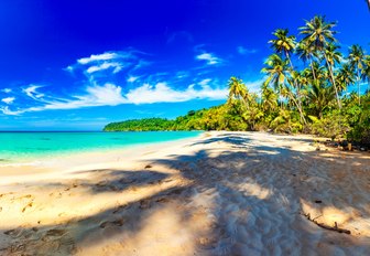 Sandy beach in Costa Rica